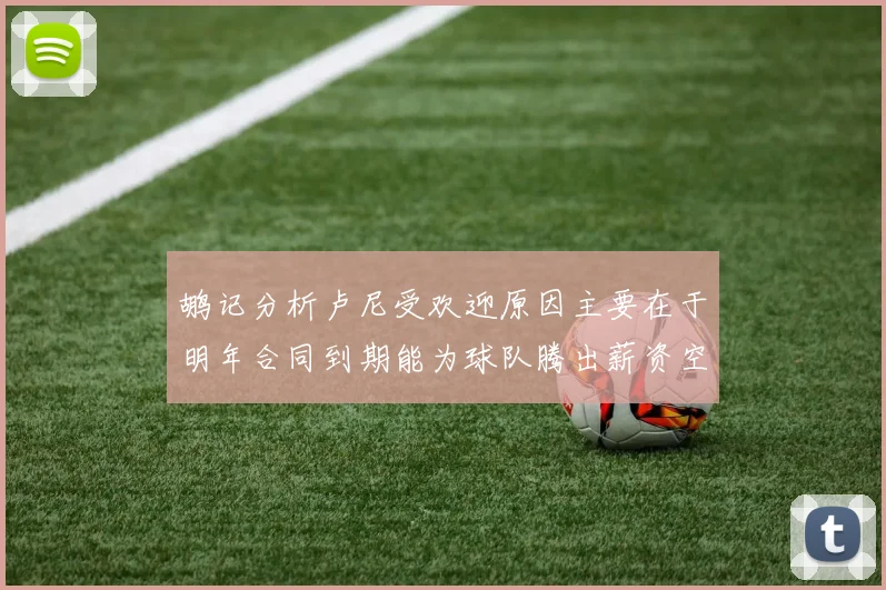 鹕记分析卢尼受欢迎原因主要在于明年合同到期能为球队腾出薪资空间