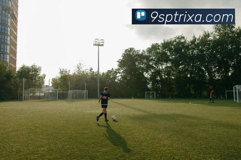 9sp体育品牌故事